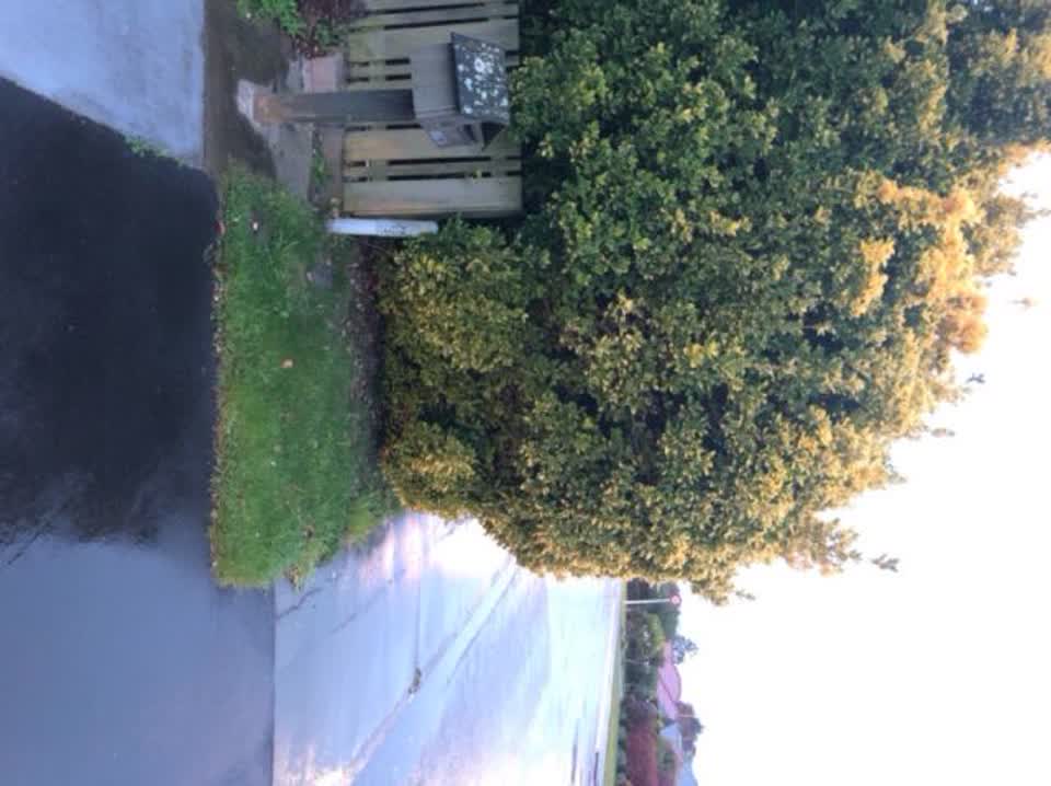 The photograph attached to this roading/streets report