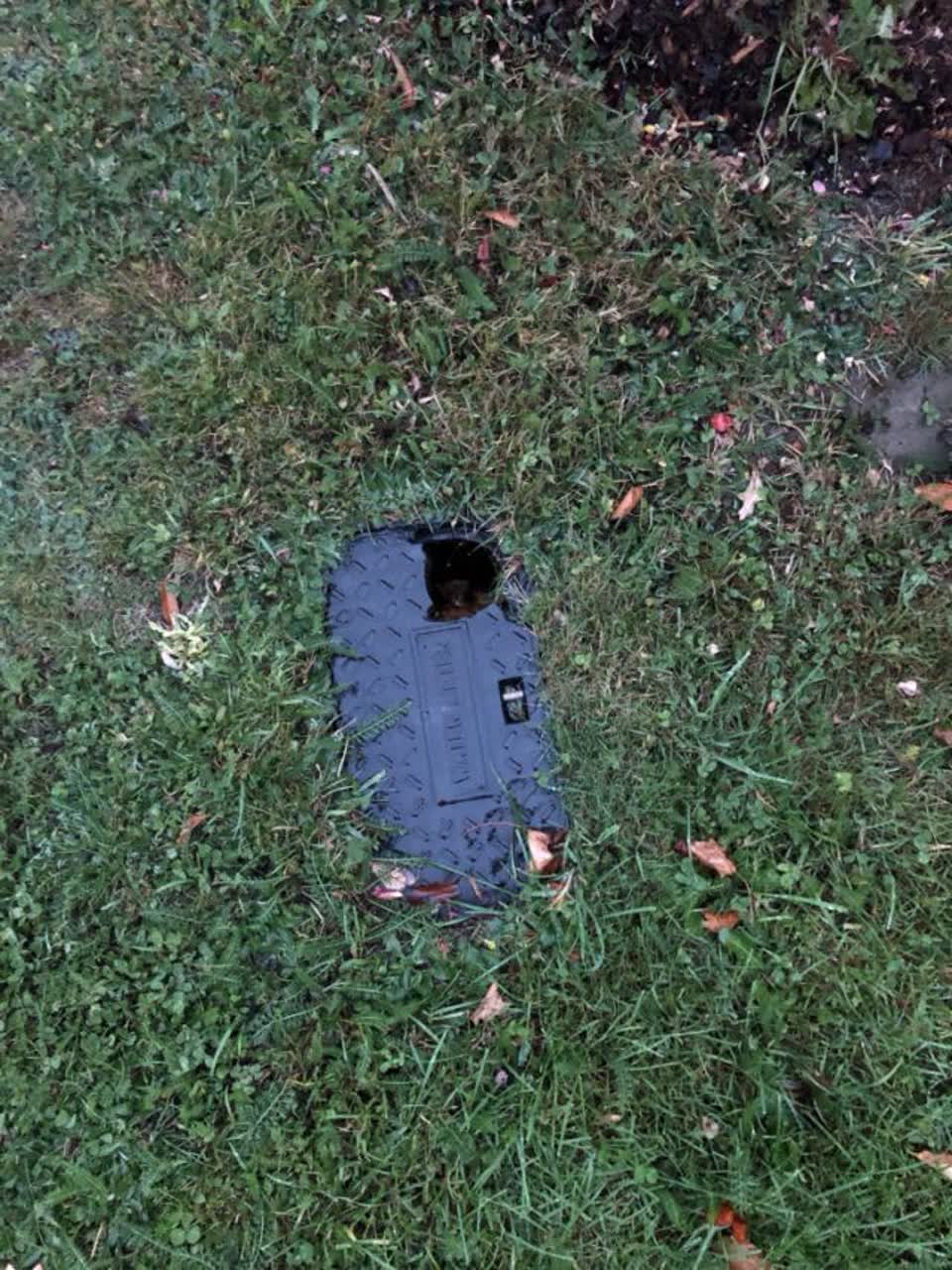 The photograph attached to this wastewater/stormwater report