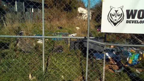 Rubbish/Recycling, a report photo