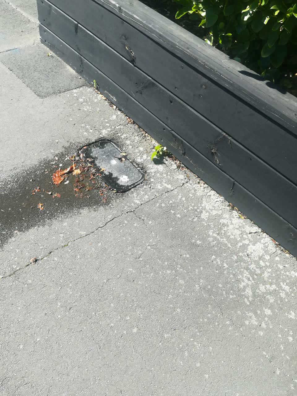 The photograph attached to this water supply report