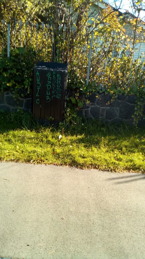 Graffiti, a report photo