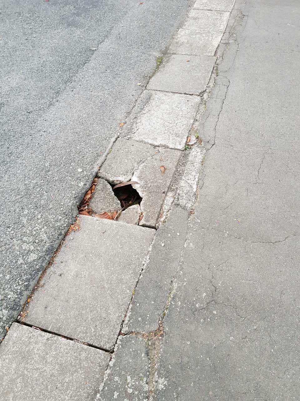 The photograph attached to this roading/streets report