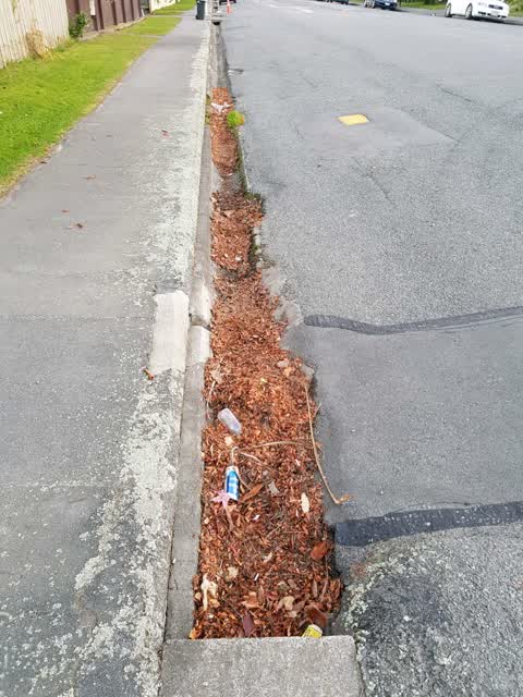 Wastewater/Stormwater, a report photo