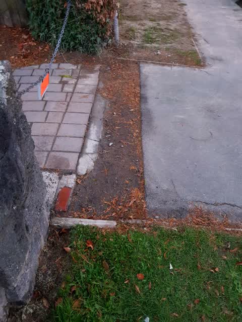 Roading/Streets, a report photo