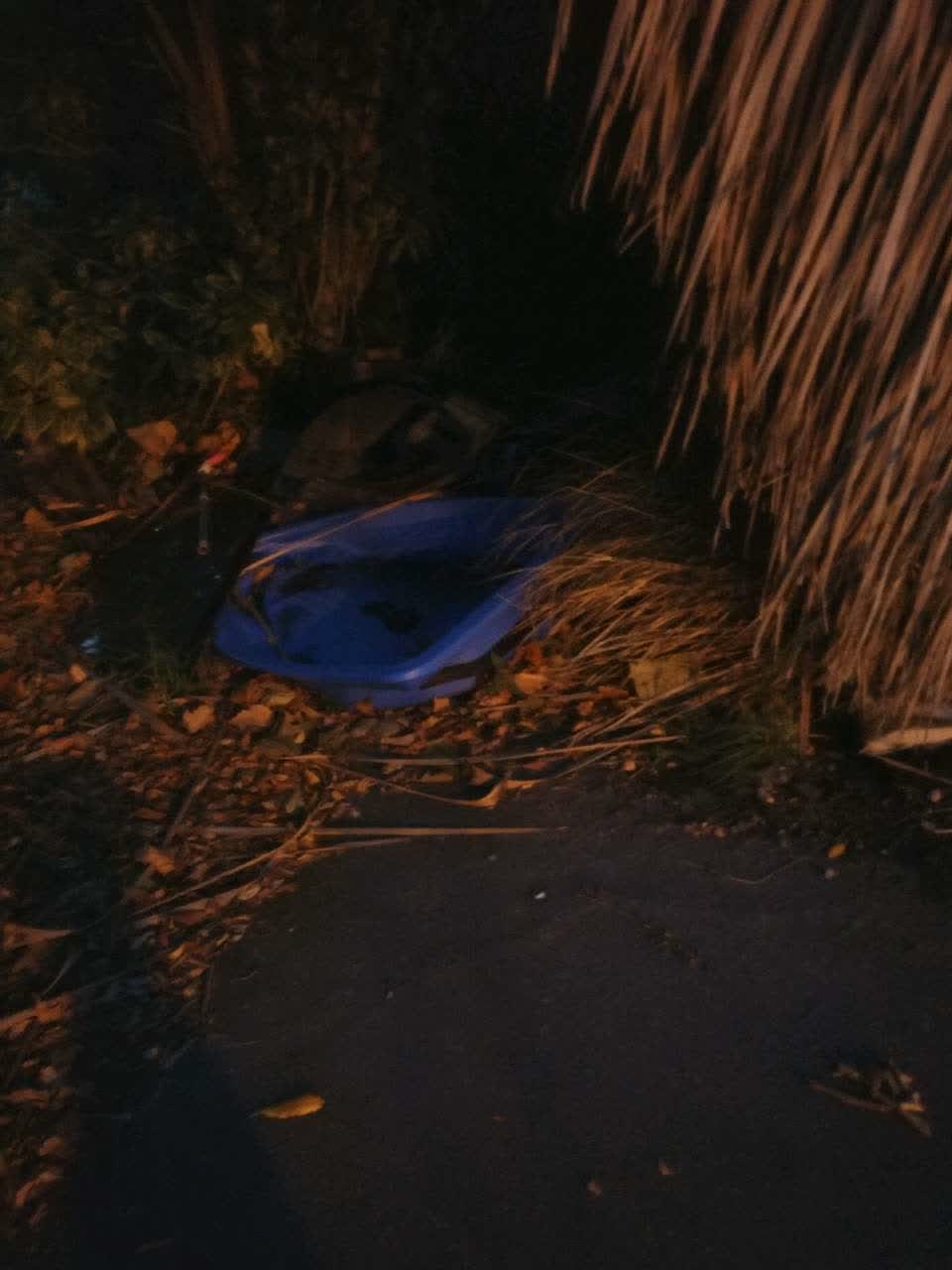 The photograph attached to this rubbish/recycling report