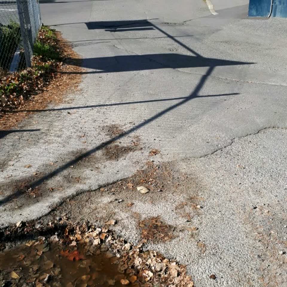 The photograph attached to this roading/streets report