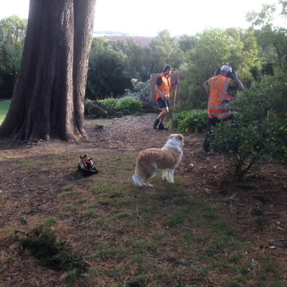 The photograph attached to this parks report