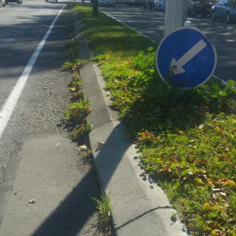 Roading/Streets, a report photo