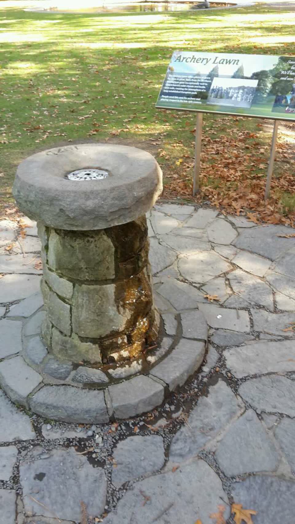 The photograph attached to this parks report