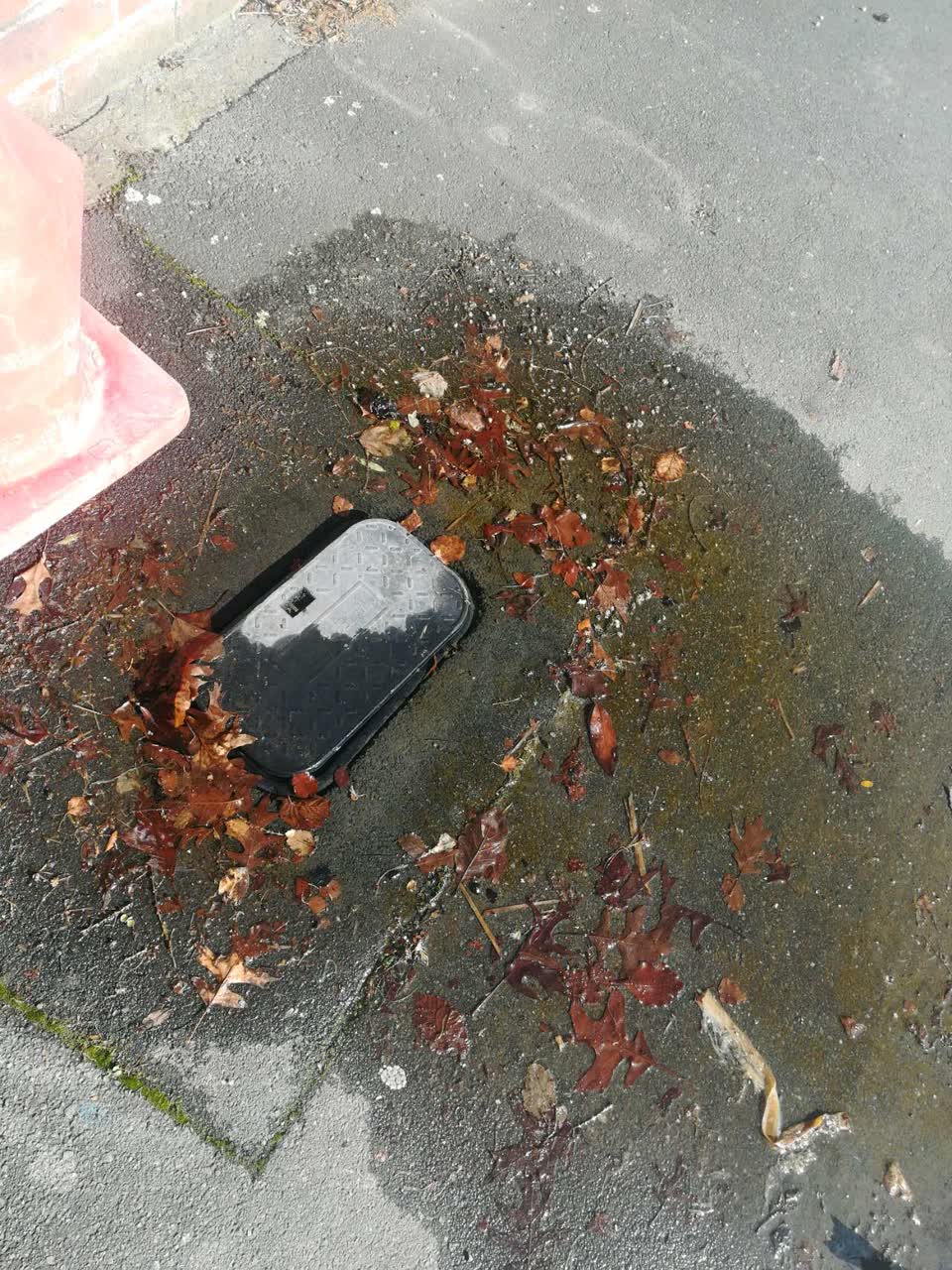 The photograph attached to this water supply report