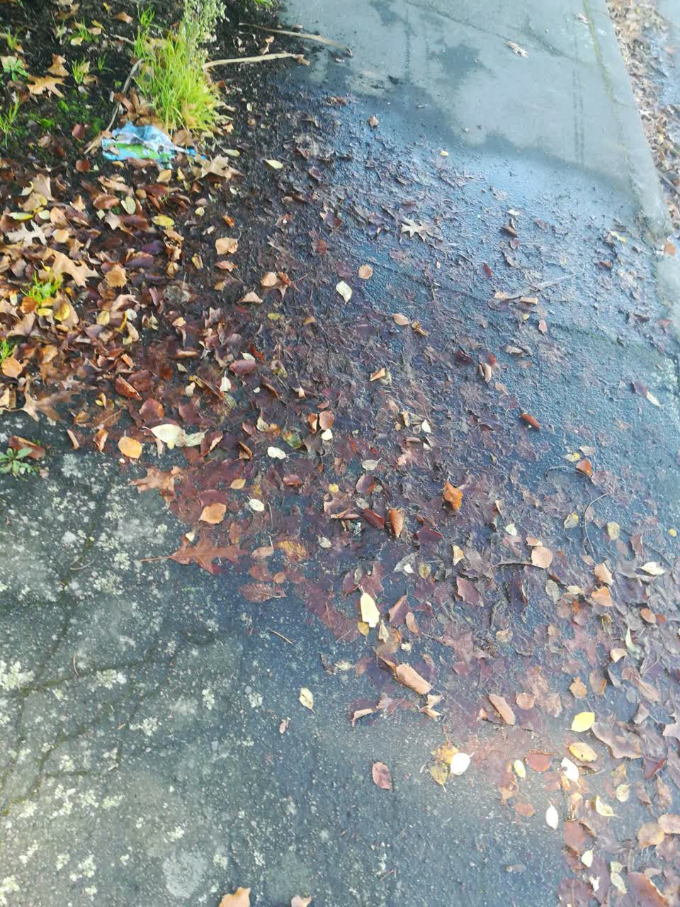 The photograph attached to this water supply report