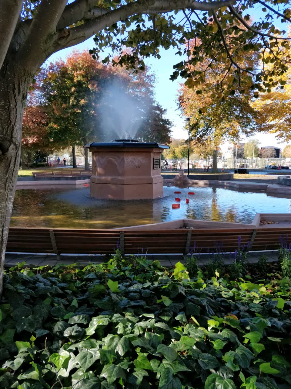 The photograph attached to this parks report