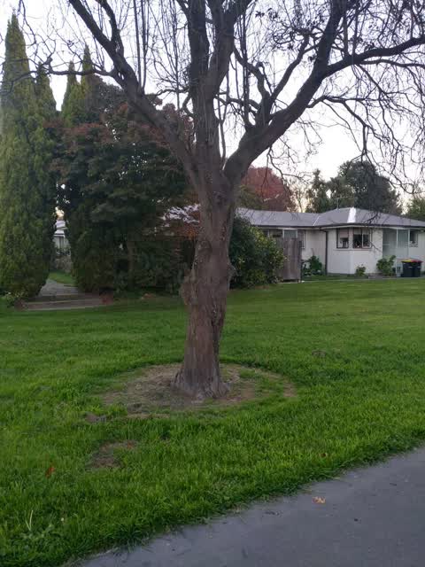 Parks — a report photo