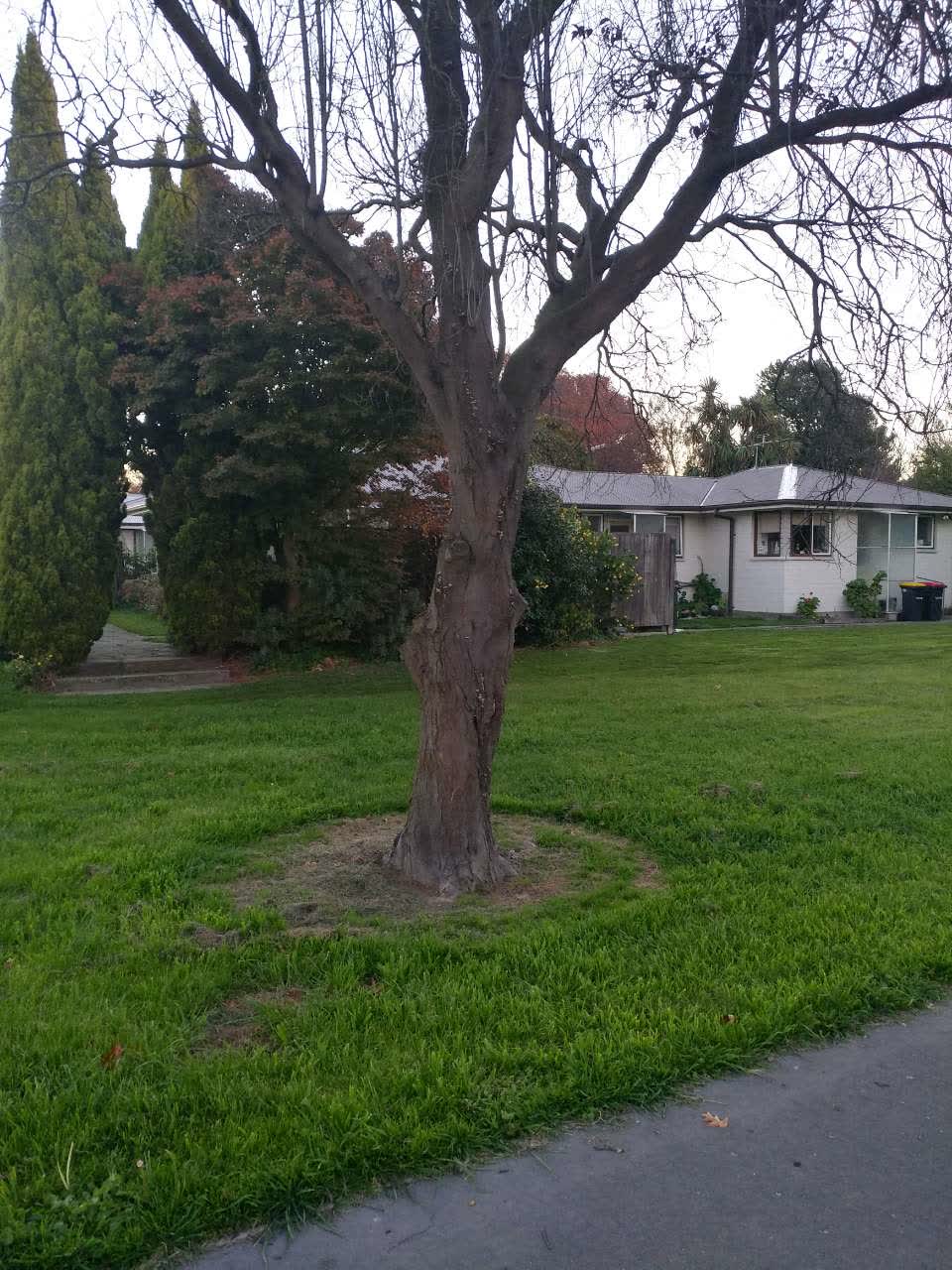 The photograph attached to this parks report