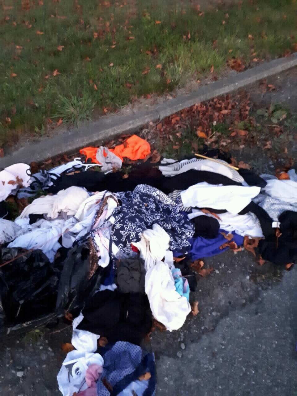 The photograph attached to this rubbish/recycling report