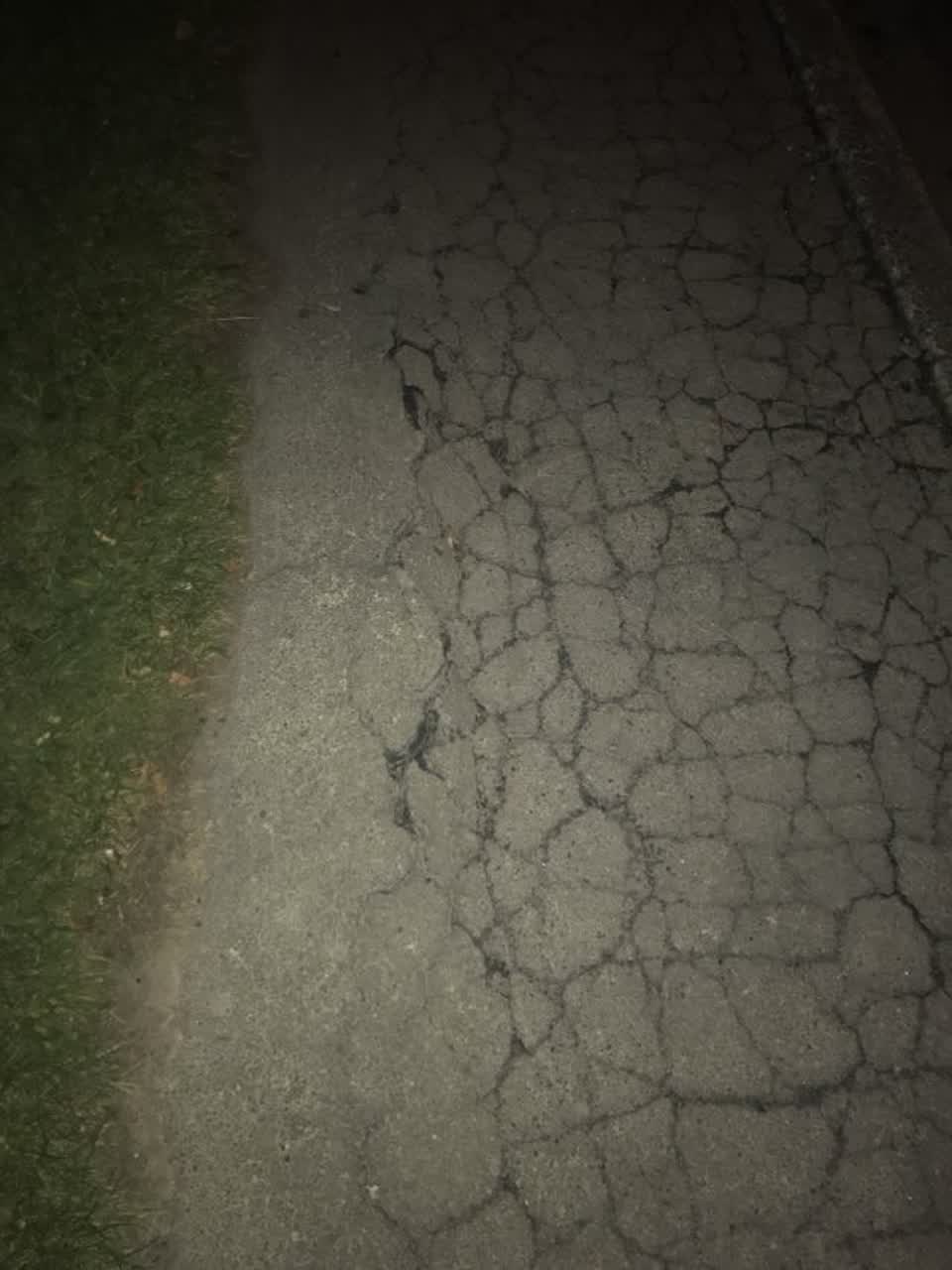 The photograph attached to this roading/streets report
