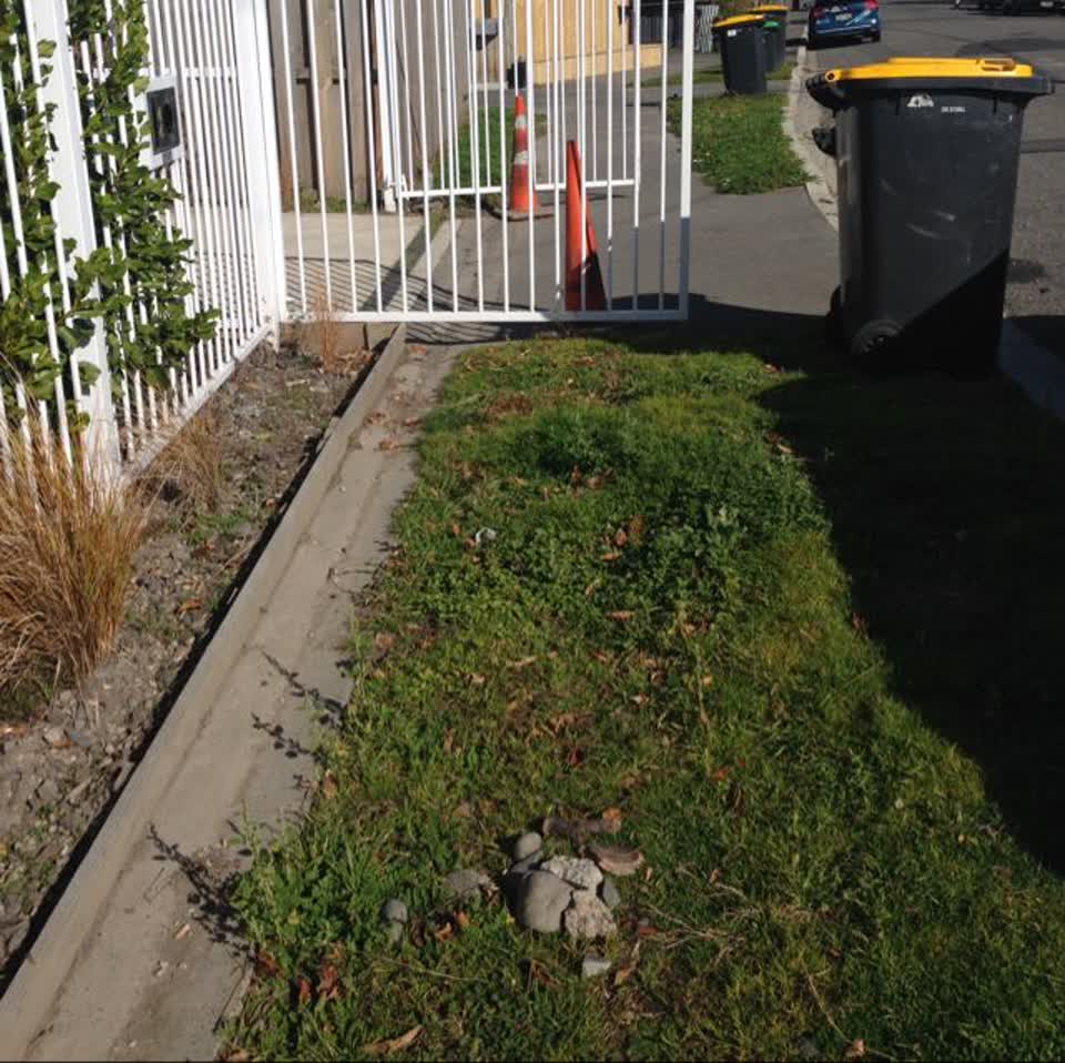 The photograph attached to this roading/streets report