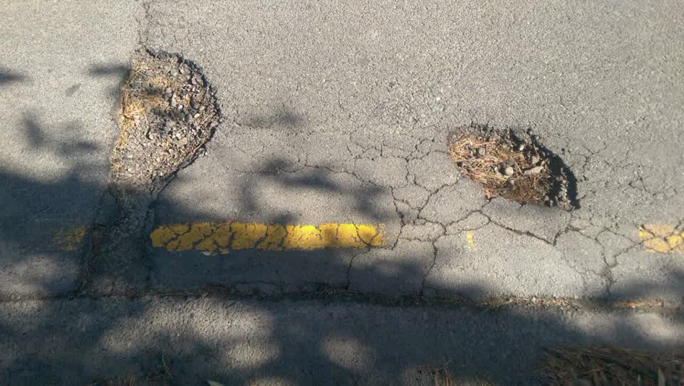 The photograph attached to this roading/streets report