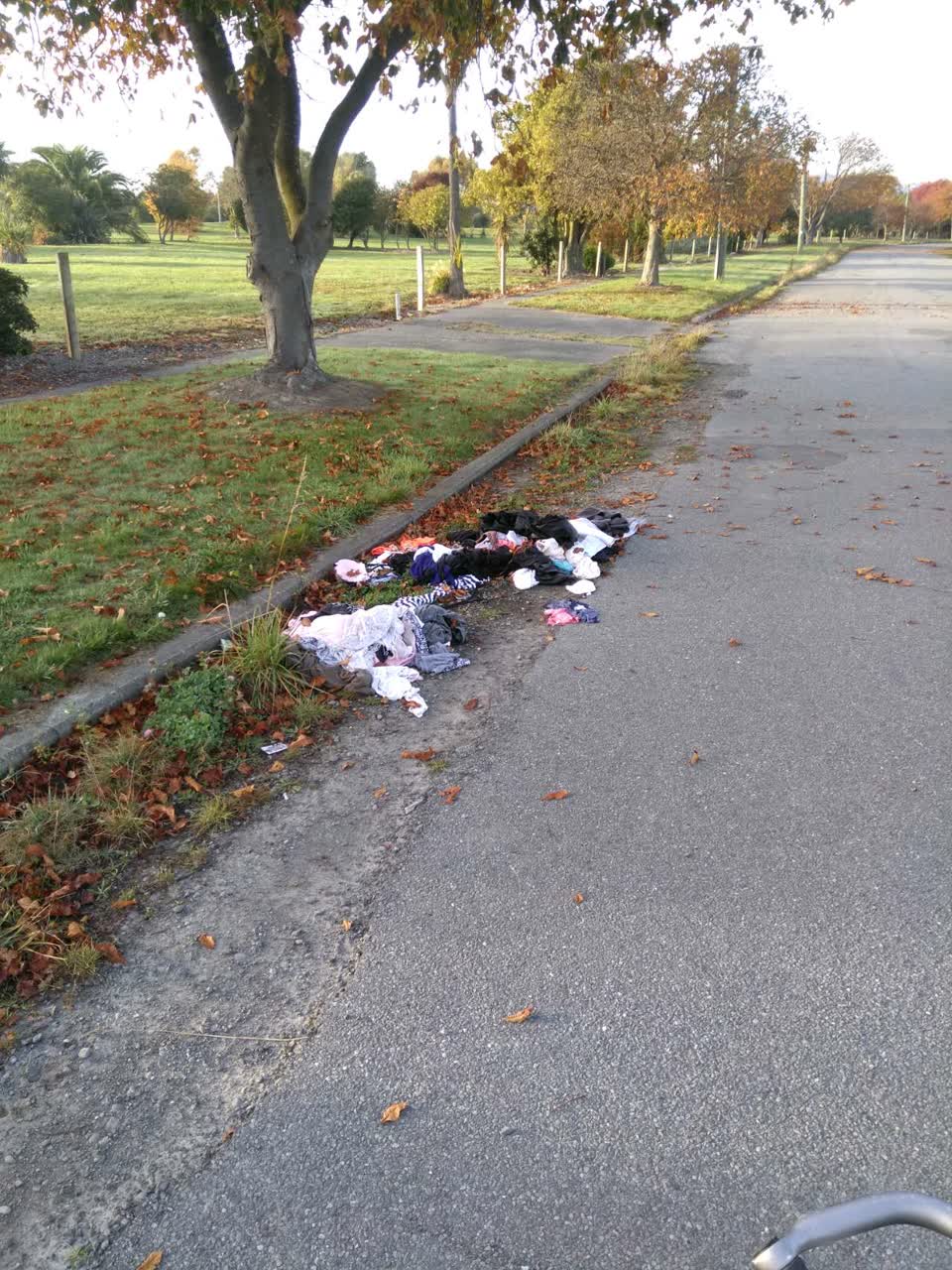 The photograph attached to this rubbish/recycling report