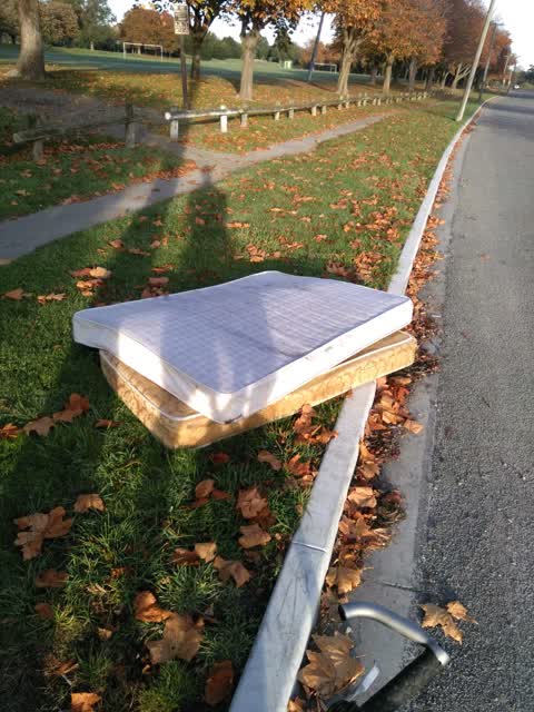Rubbish/Recycling — a report photo