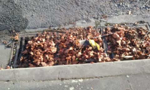 Roading/Streets, a report photo
