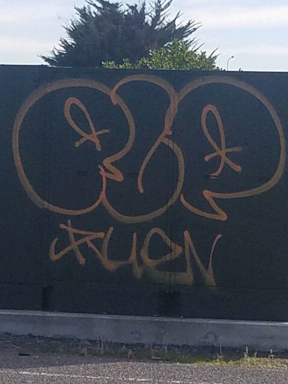 The photograph attached to this graffiti report
