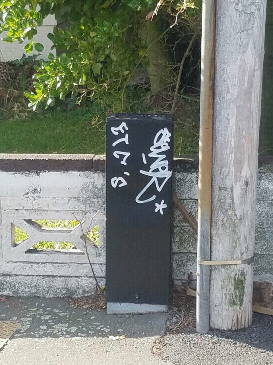 The photograph attached to this graffiti report