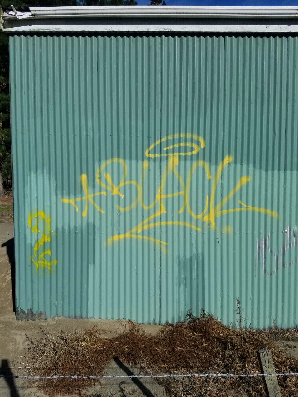 The photograph attached to this graffiti report