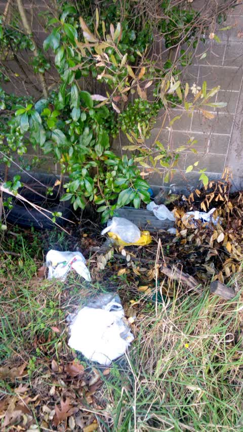 Rubbish/Recycling, a report photo