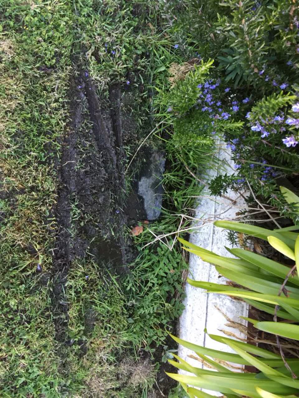 The photograph attached to this water supply report