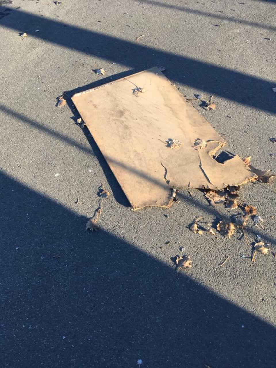 The photograph attached to this rubbish/recycling report