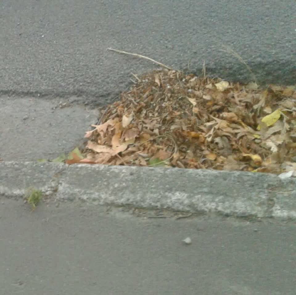 The photograph attached to this wastewater/stormwater report