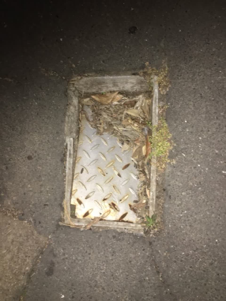 The photograph attached to this wastewater/stormwater report