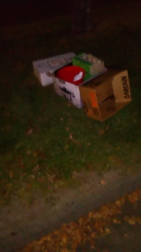 Rubbish/Recycling, a report photo