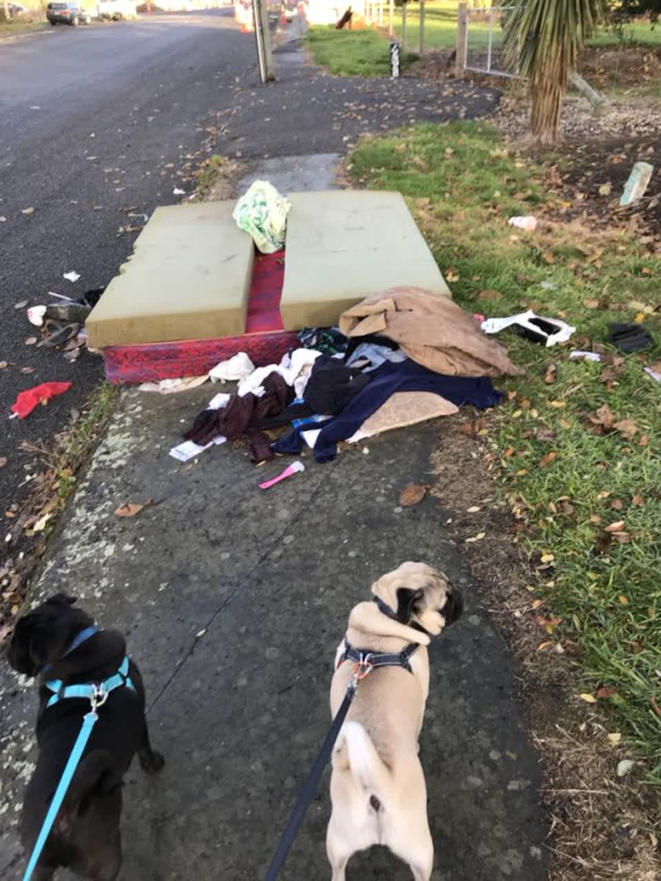 The photograph attached to this rubbish/recycling report
