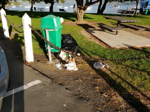 Rubbish/Recycling, a report photo