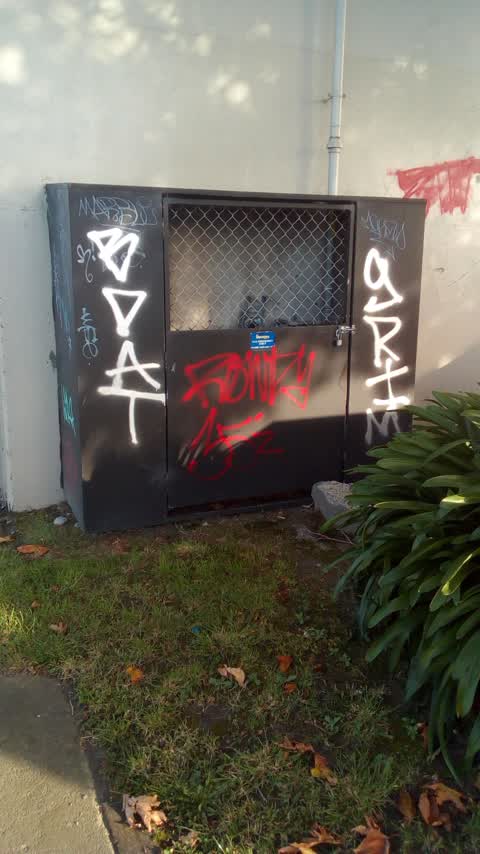 Graffiti, a report photo