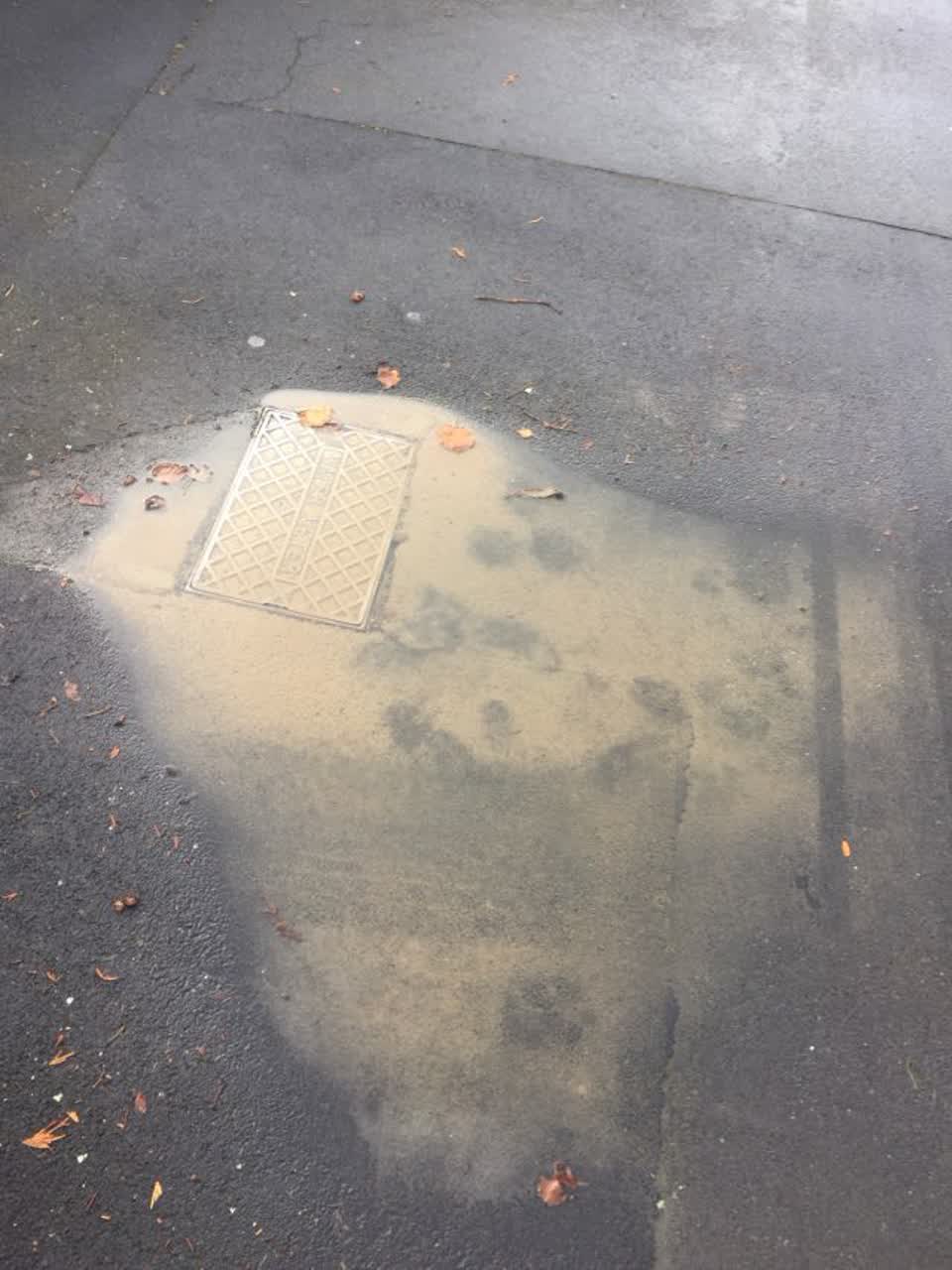 The photograph attached to this water supply report