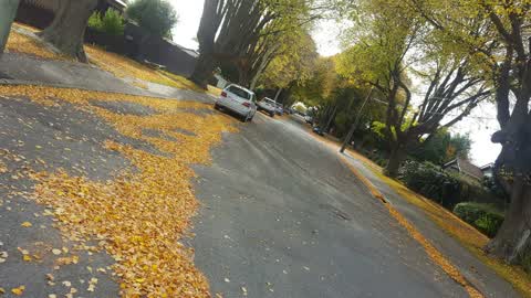 Roading/Streets, a report photo