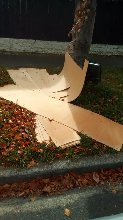 Rubbish/Recycling, a report photo