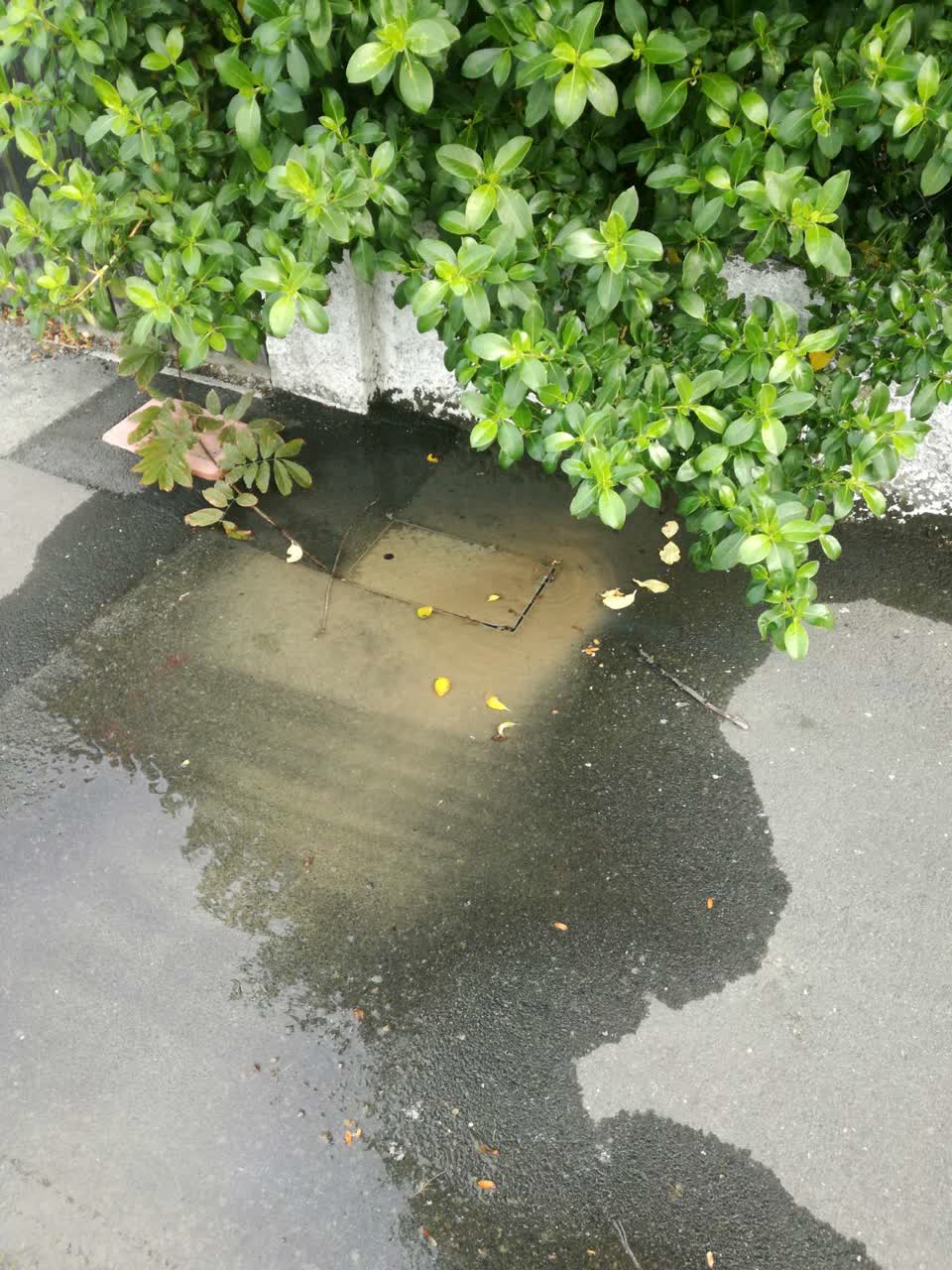 The photograph attached to this flooding report