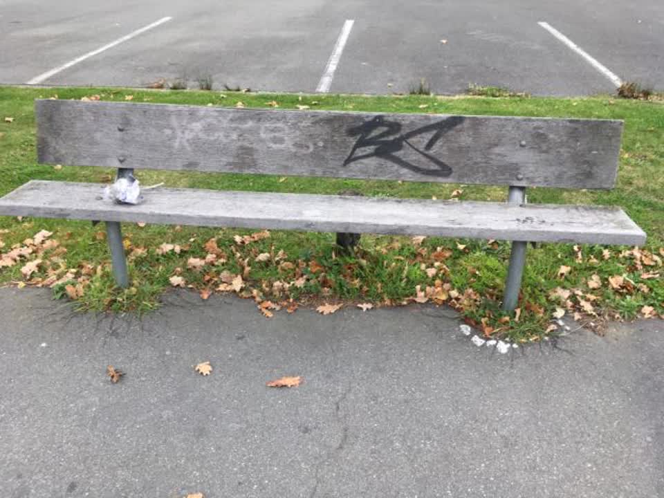 The photograph attached to this graffiti report
