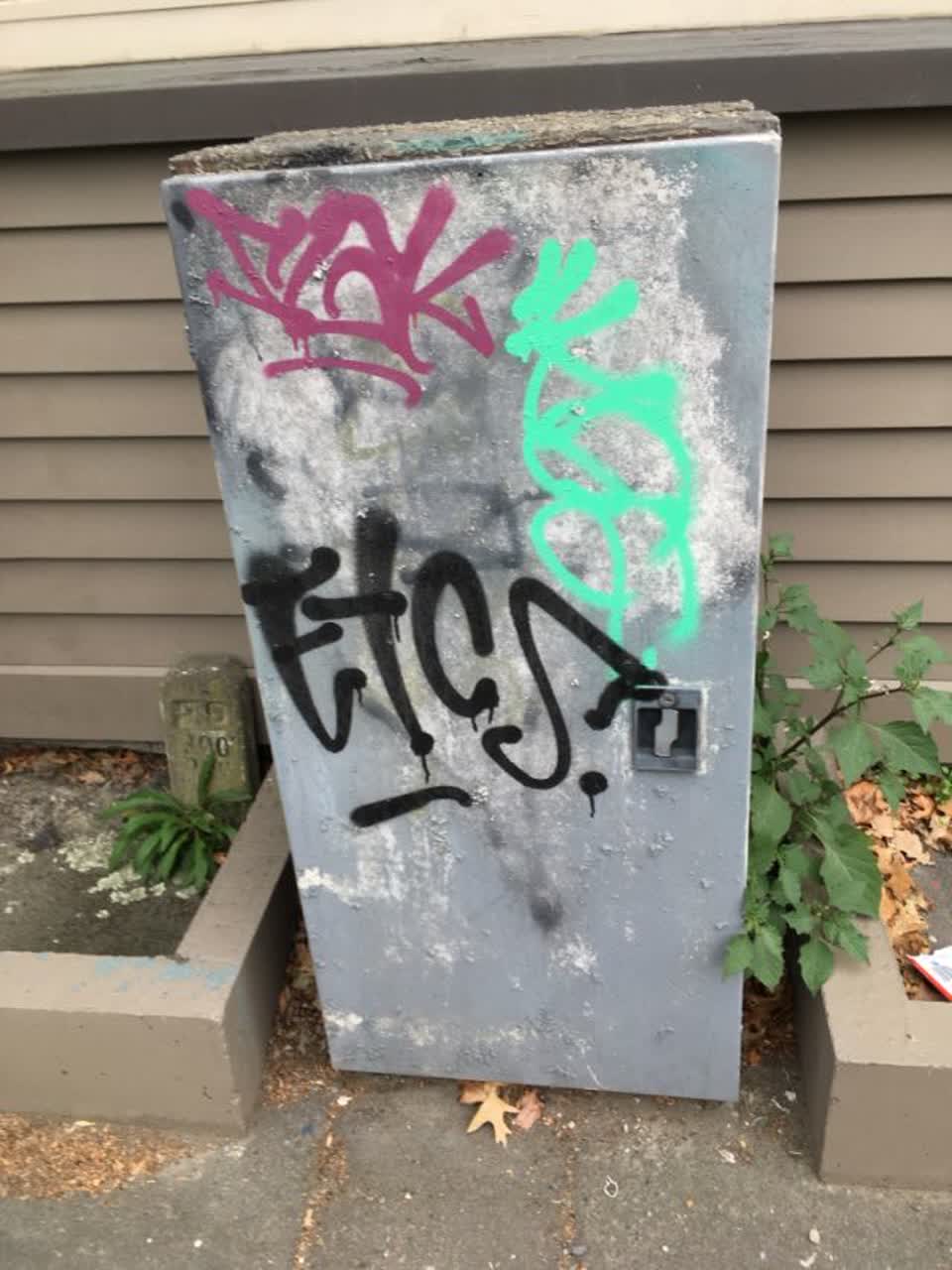 The photograph attached to this graffiti report