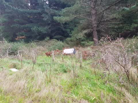 Rubbish/Recycling, a report photo