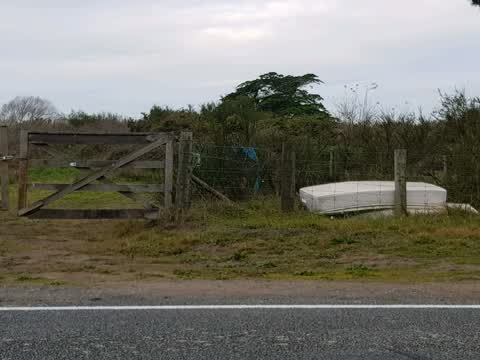 Rubbish/Recycling, a report photo