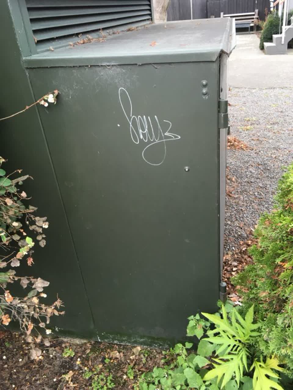 The photograph attached to this graffiti report