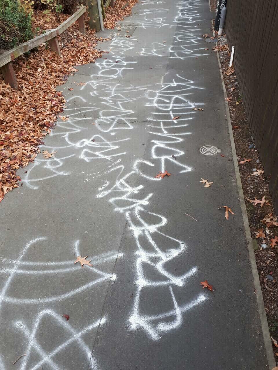 The photograph attached to this graffiti report