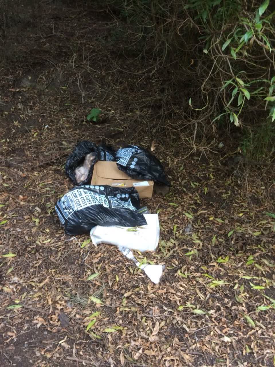 The photograph attached to this rubbish/recycling report