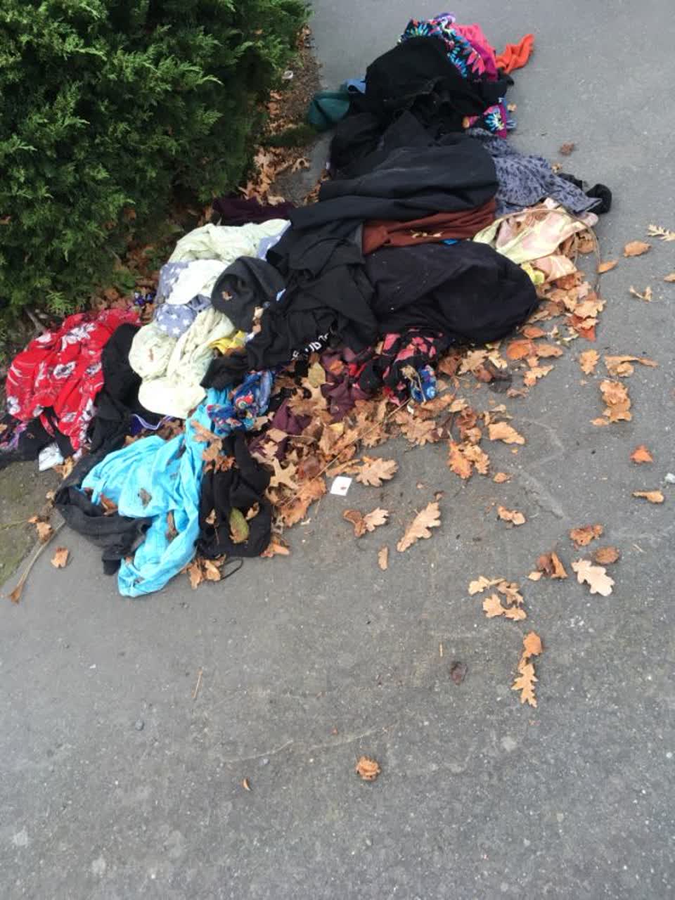The photograph attached to this rubbish/recycling report