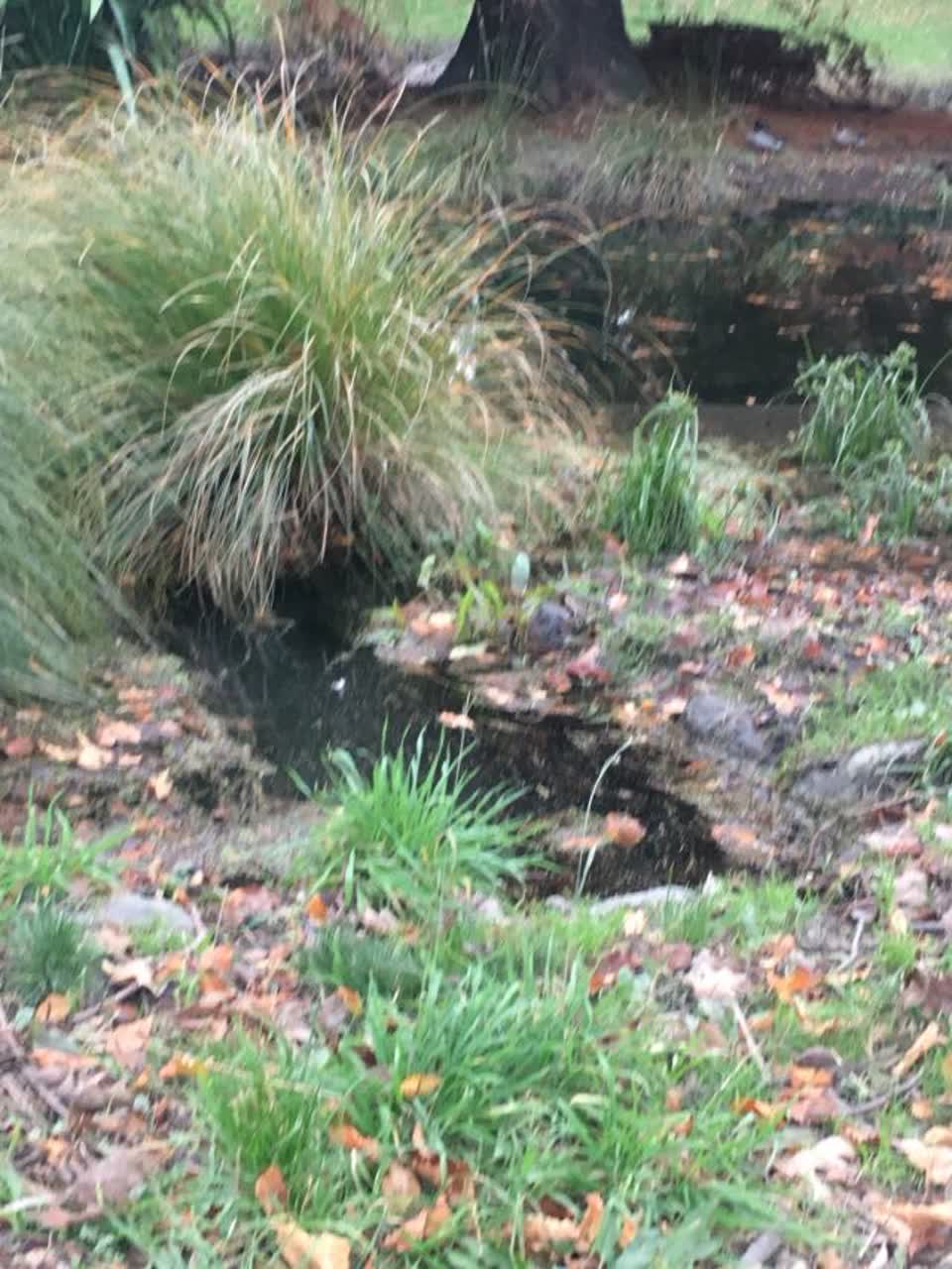 The photograph attached to this flooding report